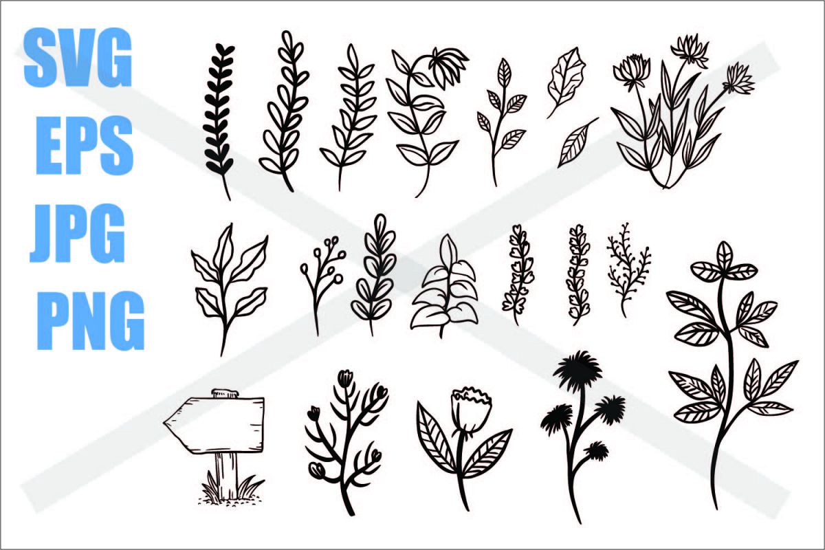 Plant Set - SVG/EPS/JPG/PNG (407144) | Illustrations | Design Bundles