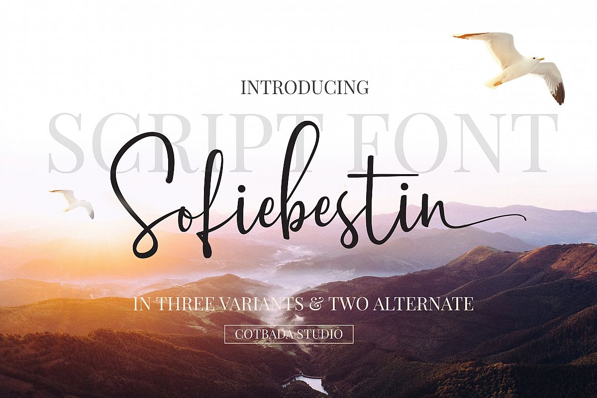 Sofiebestin Script example image 1