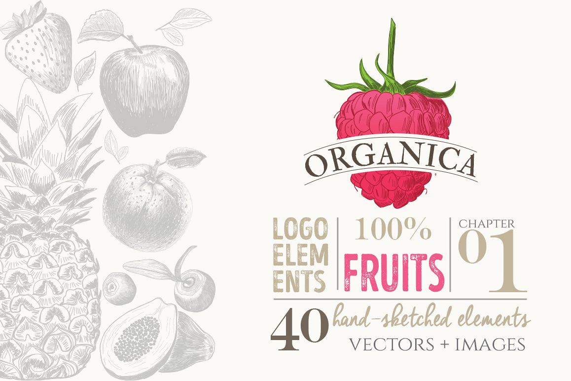 ORGANIC LOGO ELEMENTS FRUITS example image 1