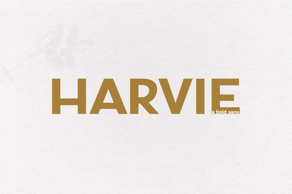 Harvie - A Bold Sans Font example image 1
