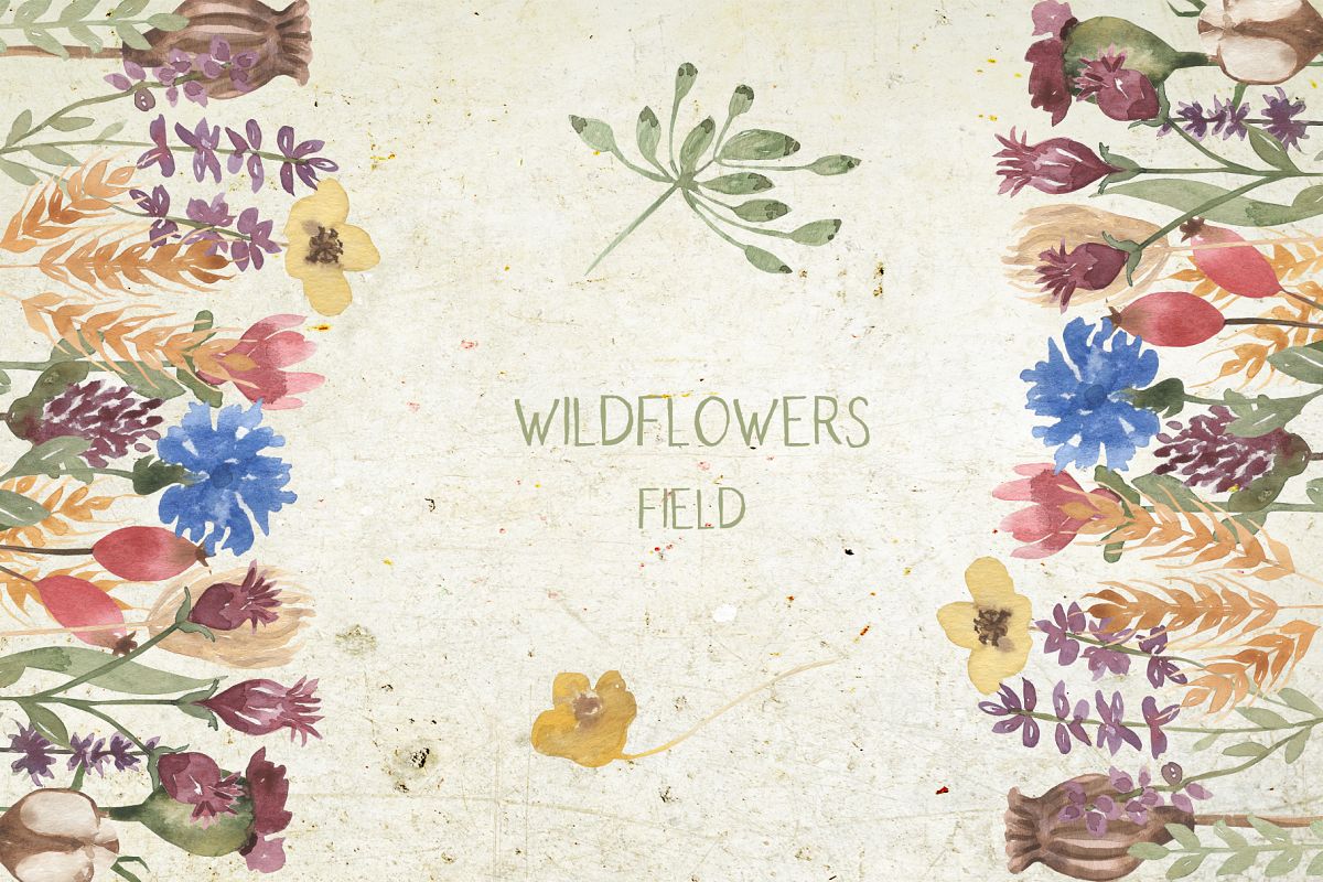 Wildflowers field example image 1
