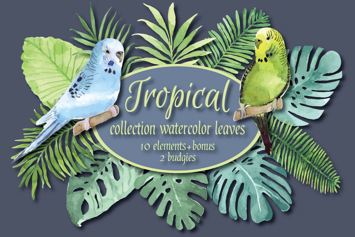 Tropical watercolor set. example image 1
