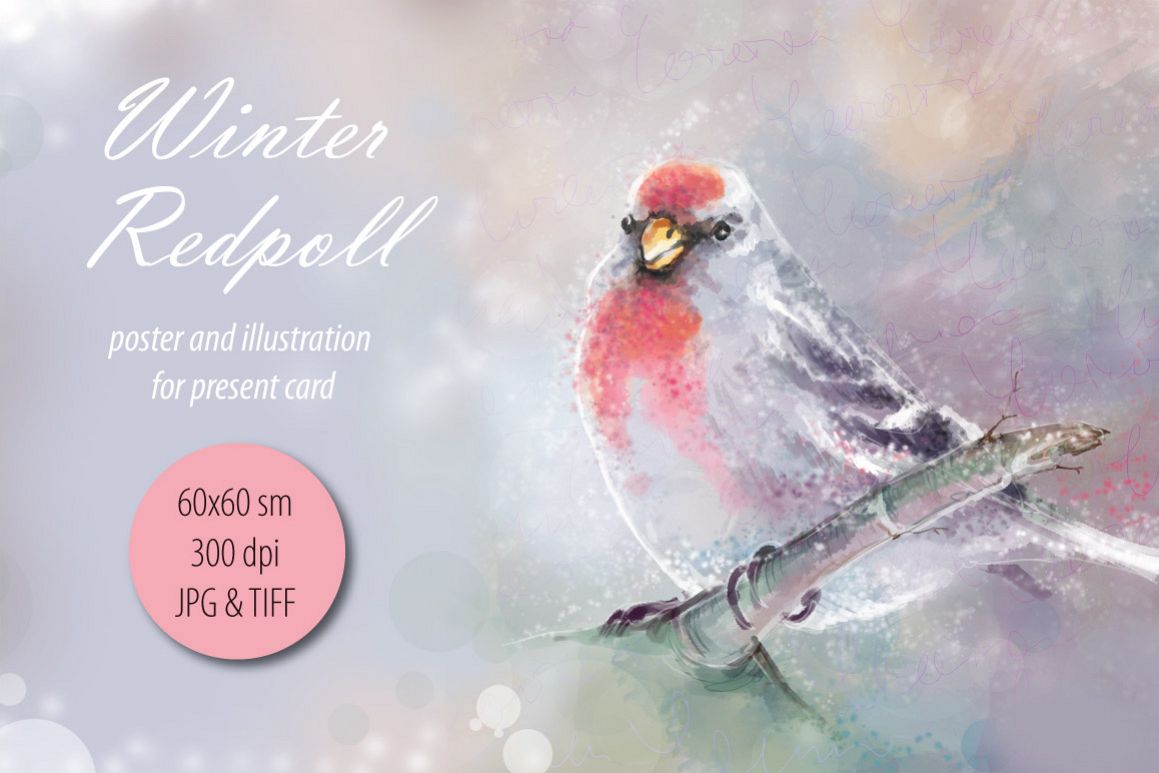 Winter Redpoll example image 1