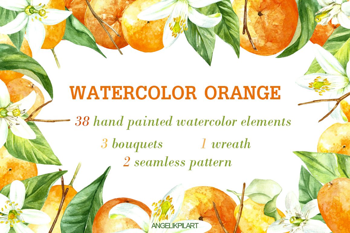 watercolor orange fruit illustration example image 1