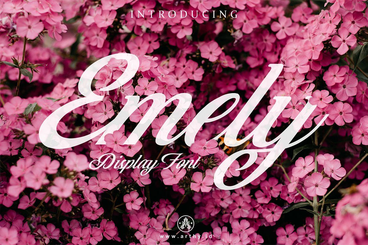 Emely Lovely Script Font example image 1