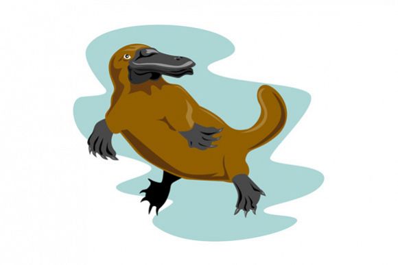 Platypus Front View example image 1