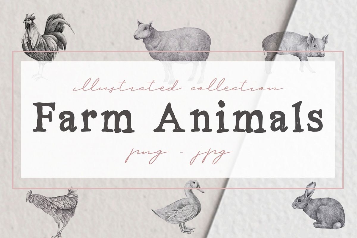 Farm Animals Illustration Pack example image 1