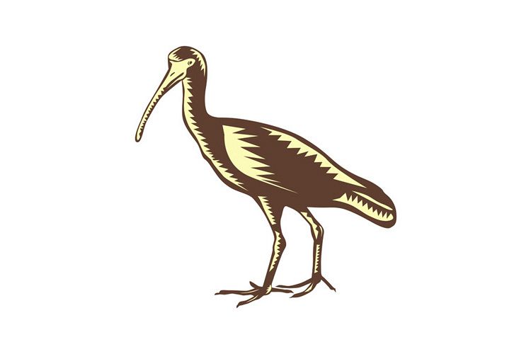 Egret Heron Crane Side Woodcut example image 1