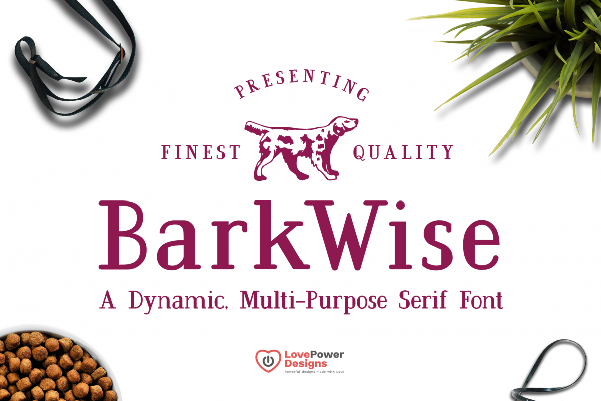 BarkWise - Multi-Purpose Serif Font example image 1