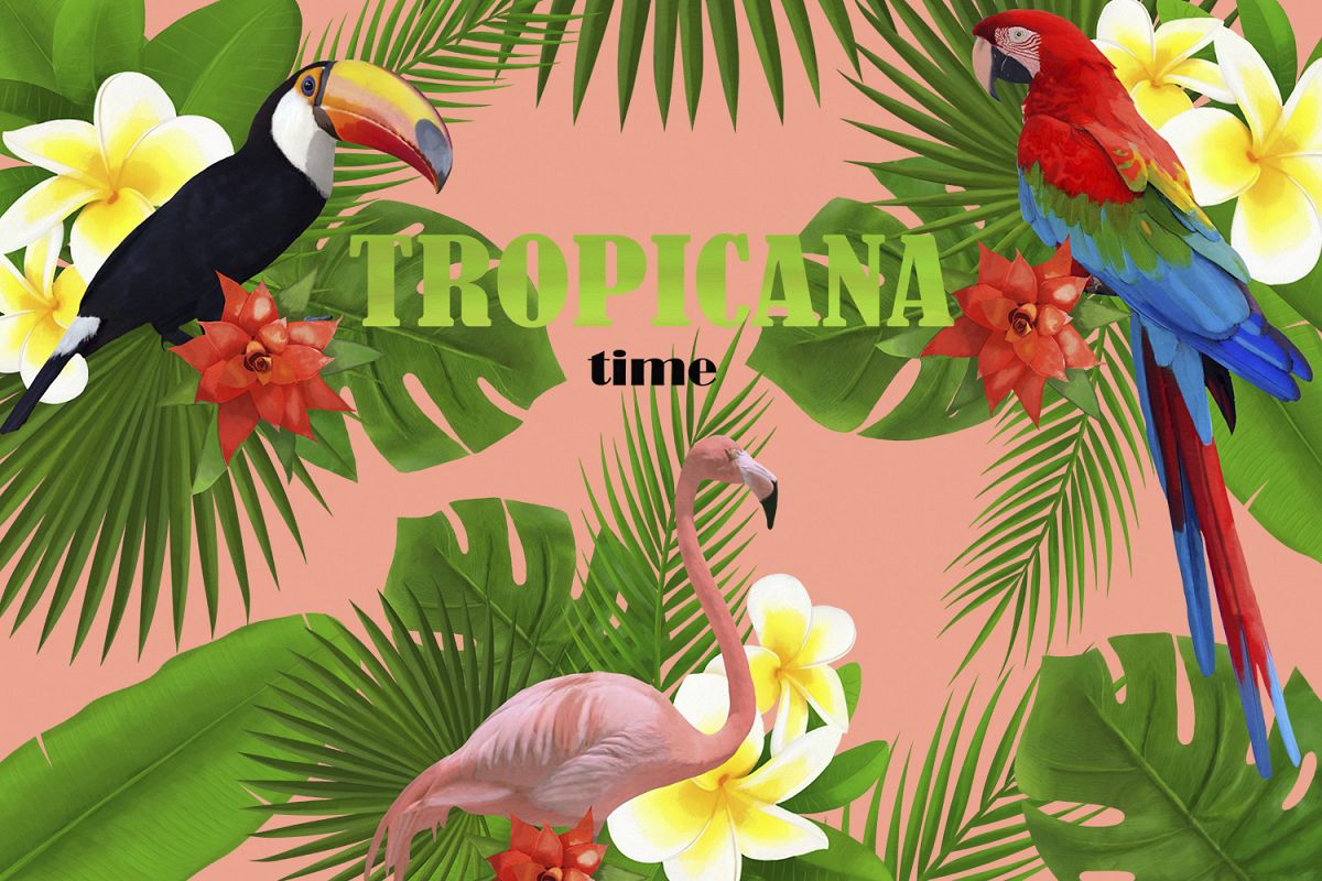 TROPICANA watercolor clipart set example image 1