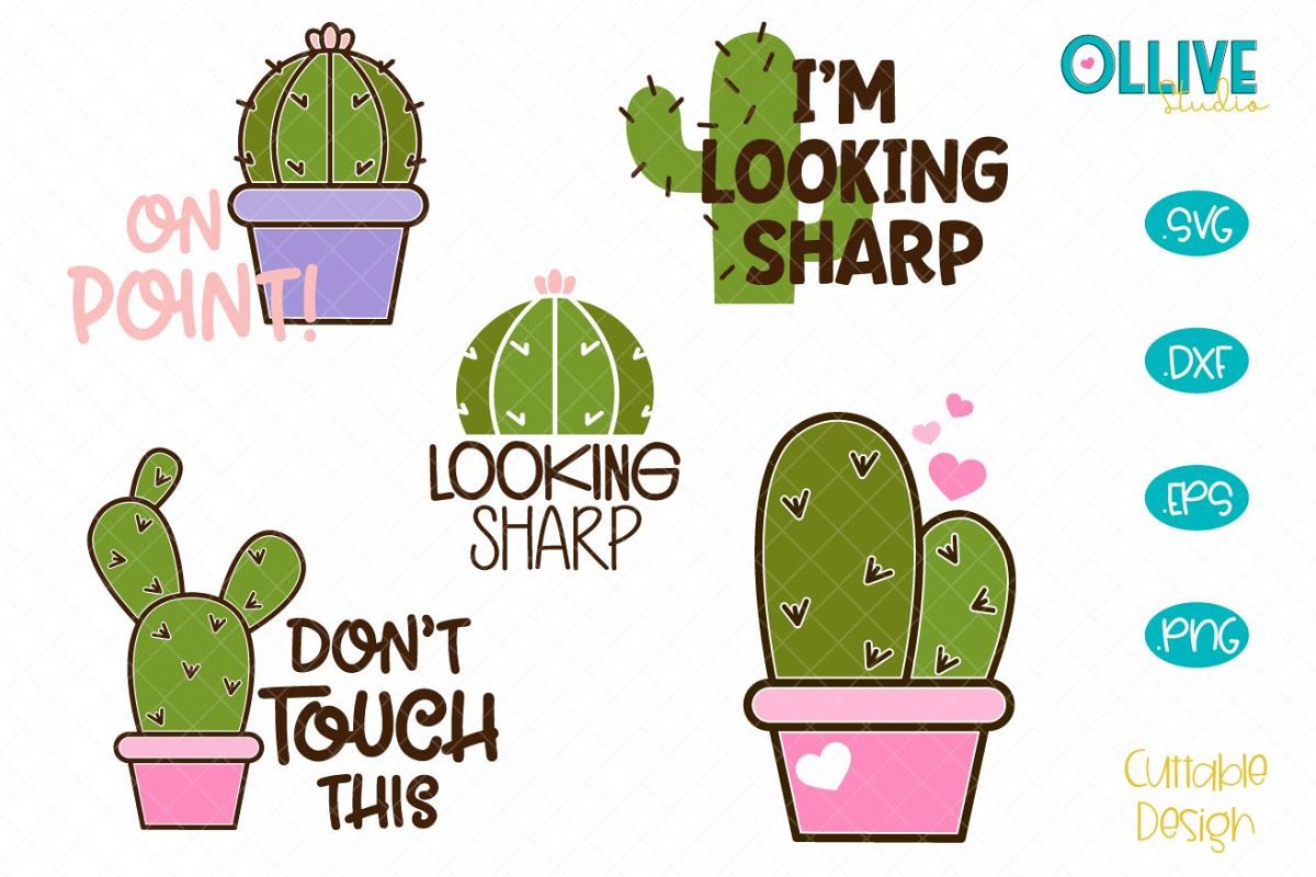 Cactus SVG Bundle, Cactus Quotes