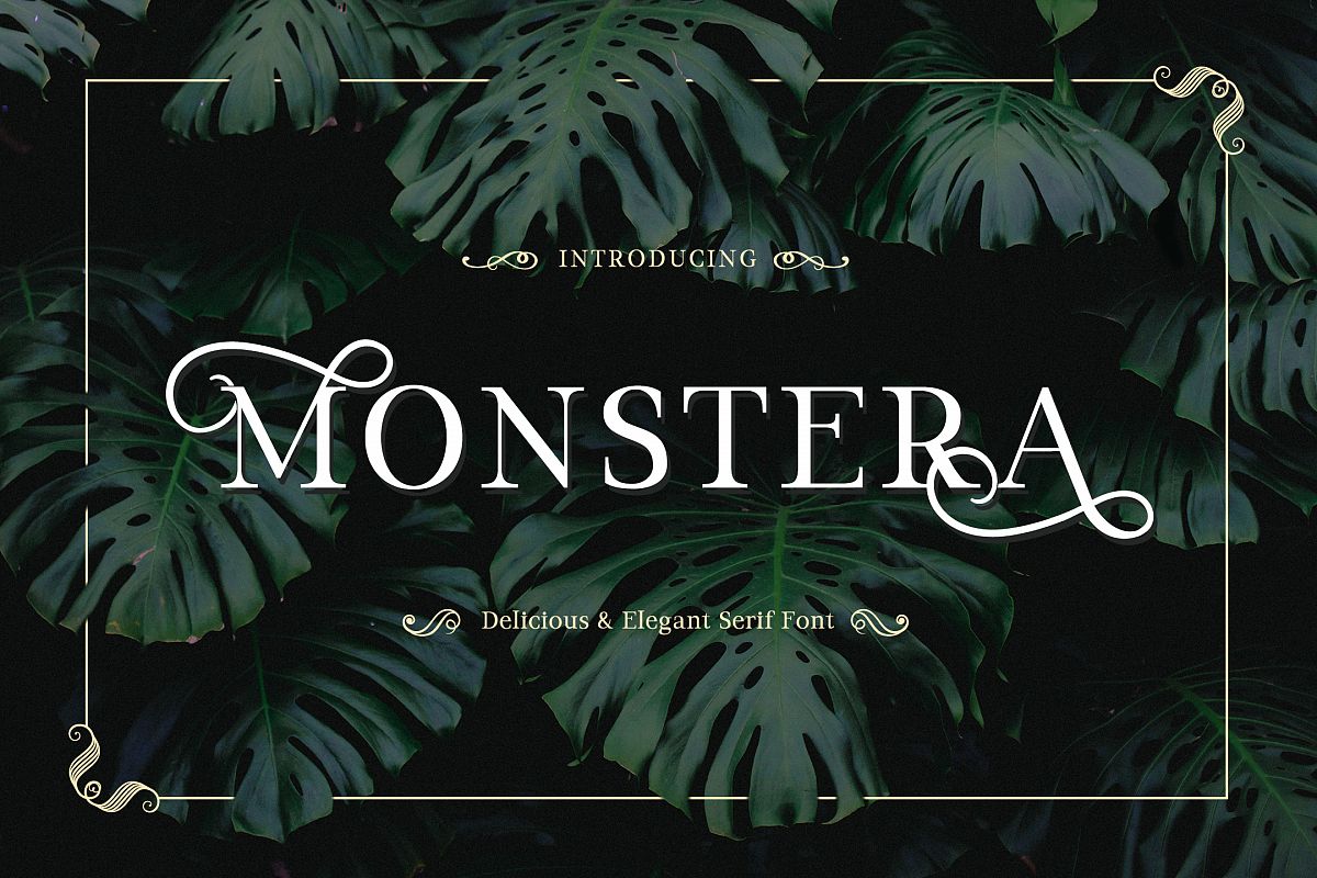 Monstera example image 1