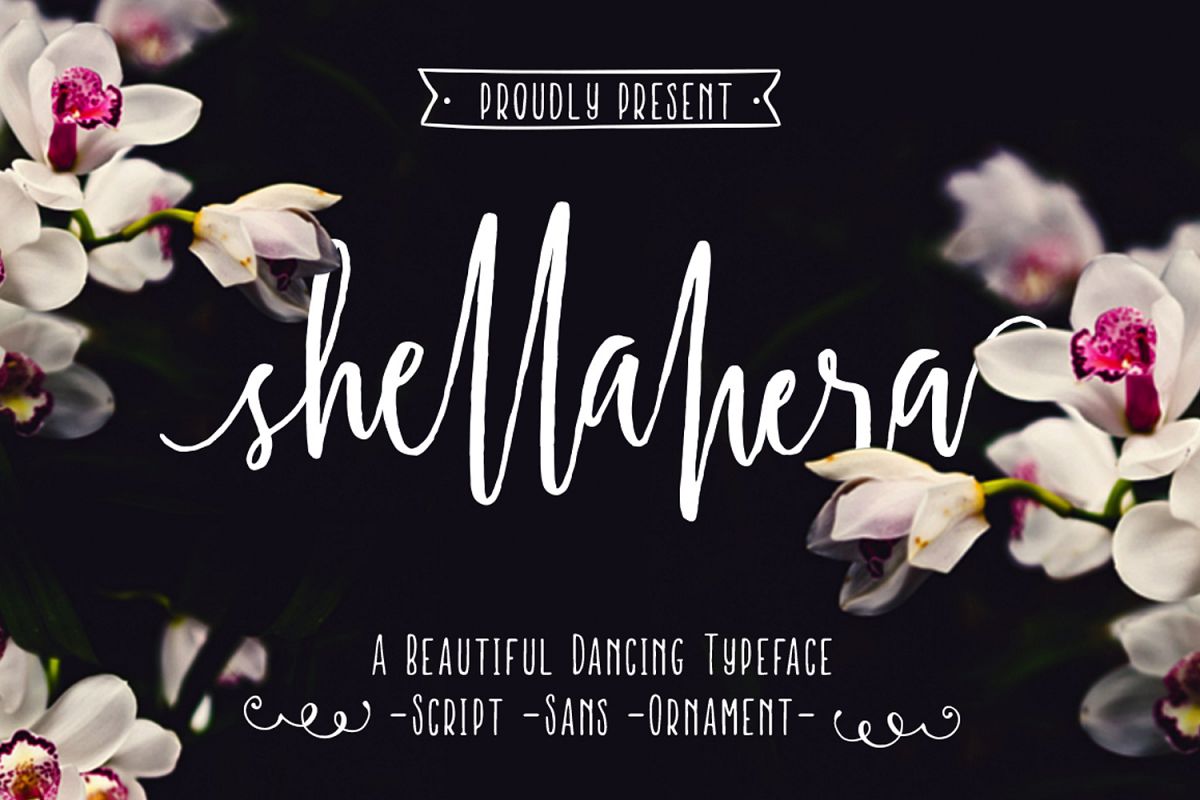 Shellahera Font Bundle example image 1
