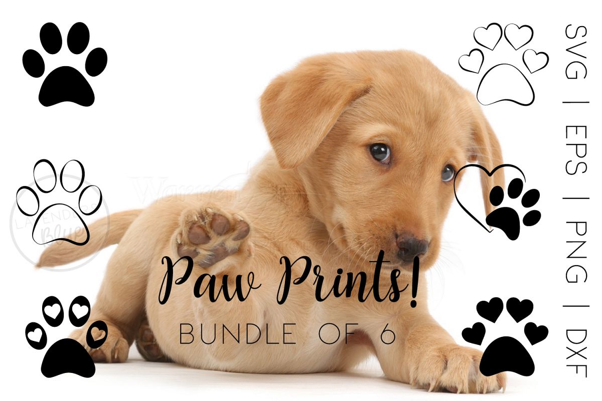 Paw Prints SVG Bundle example image 1