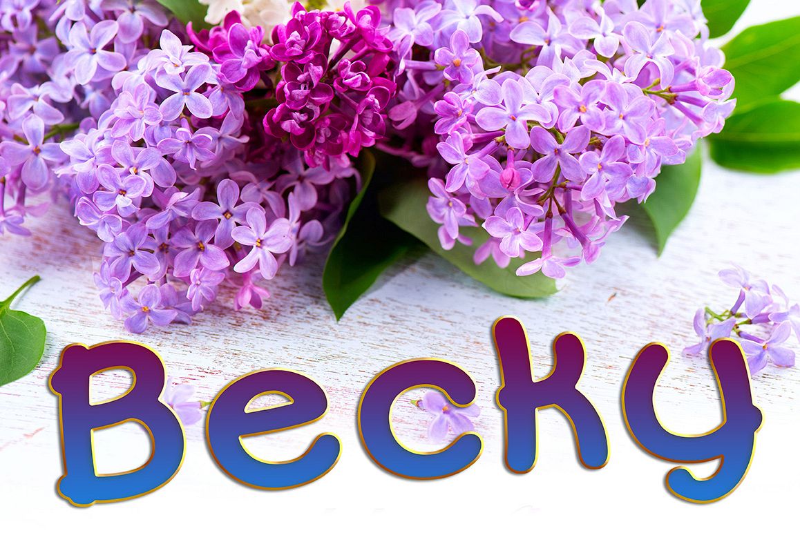 Becky Font Family example image 1