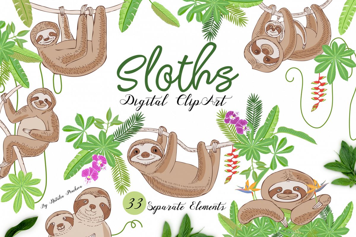Sloths in Jungle Digital Clipart example image 1