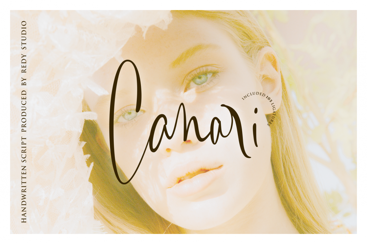 Canari | Signature Font example image 1