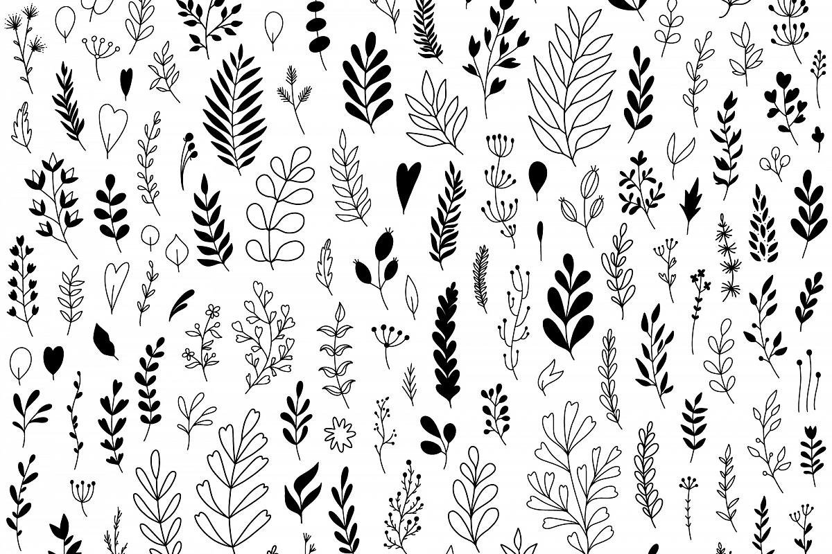 Botanicals, Vector Illustrations example image 1