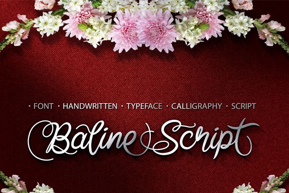Baline Script example image 1