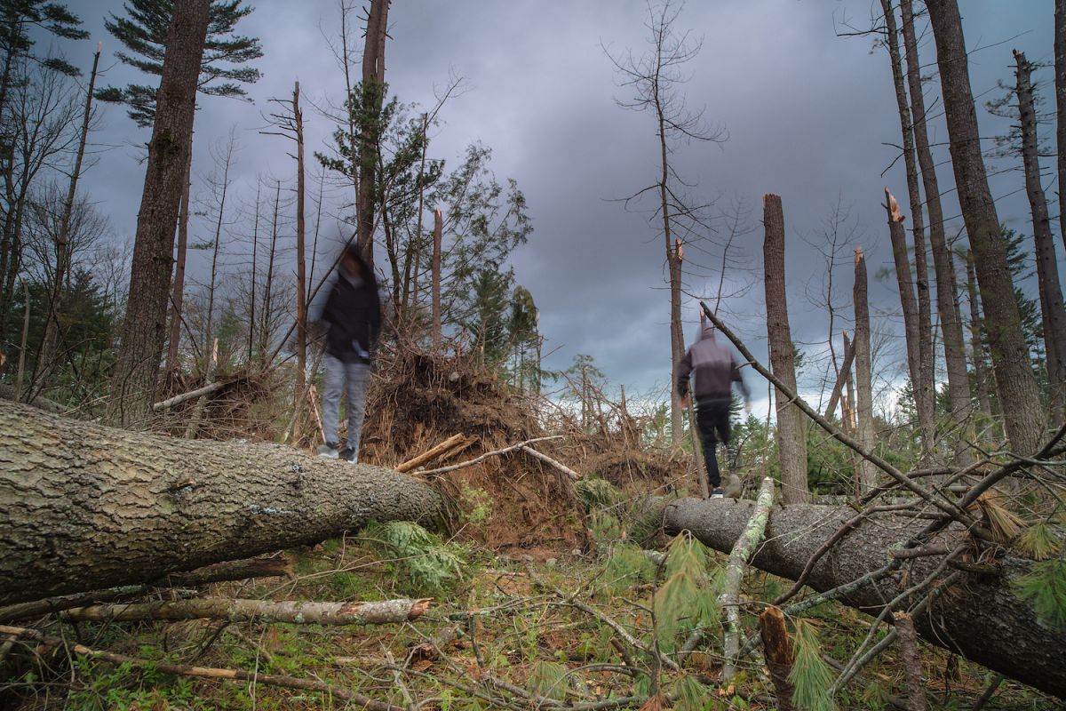 Blurred people walking after hurricane example image 1