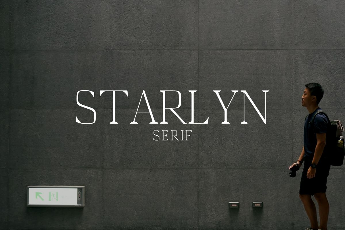 Starlyn Serif Font Family example image 1