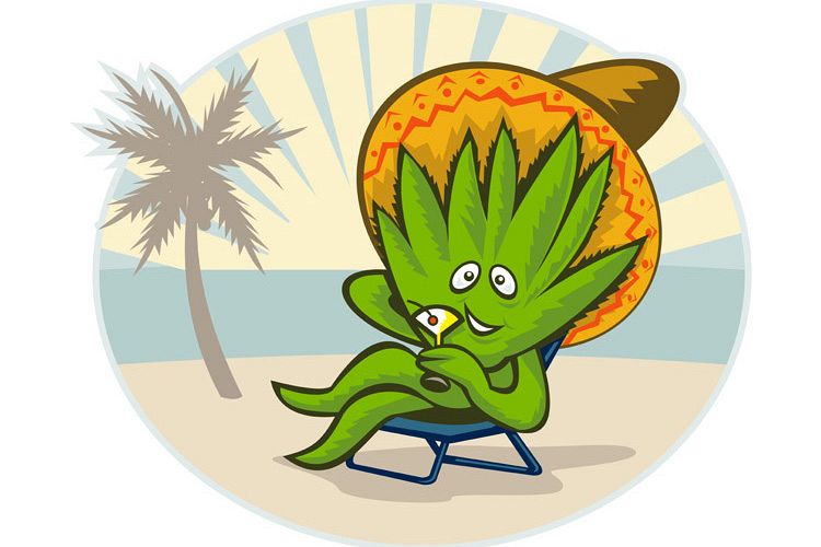 Agave plant cartoon sombrero hat martini beach example image 1
