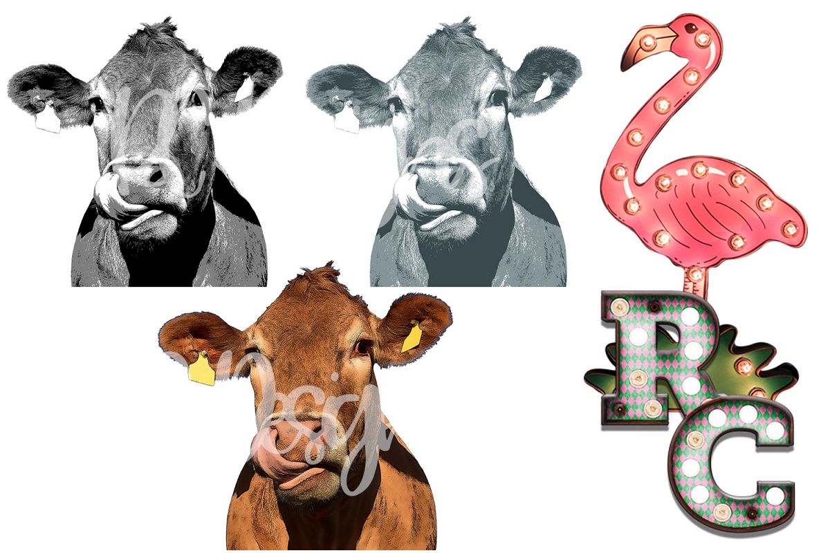 Cow Clipart Bundle example image 1