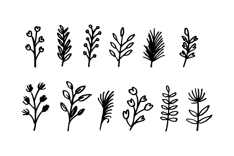 Hand Drawn Leaf Vector example image 1