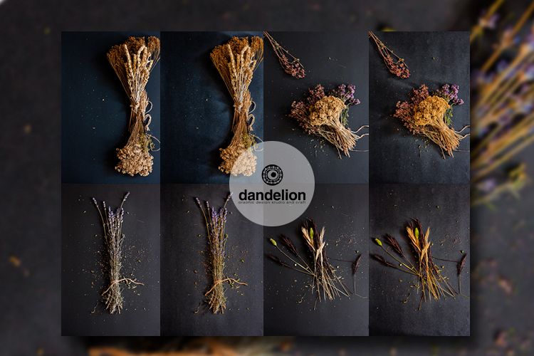 Dried flowers example image 1