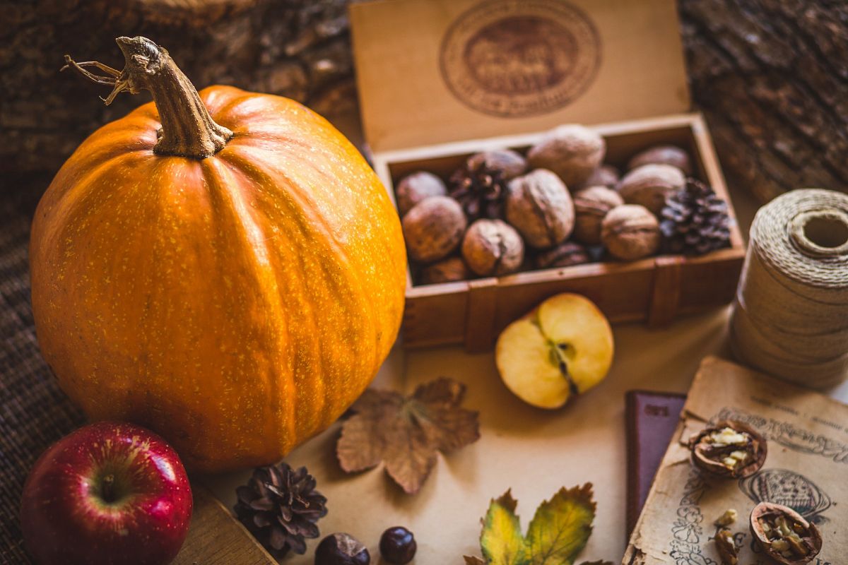 Autumn Time example image 1