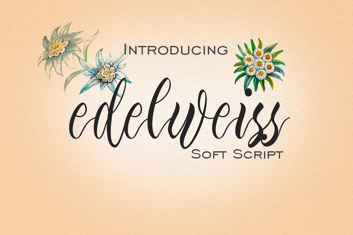 Edelweiss example image 1