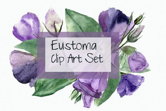 Eustoma Clip Art Set + Wreath example image 1