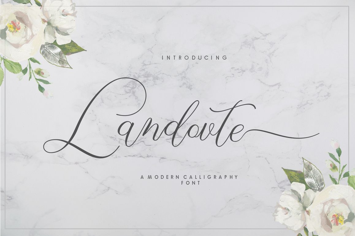 Landovte example image 1