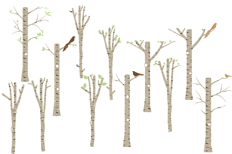 Brown Birch clipart, Tree clipart, Birch vector, Birch PNG