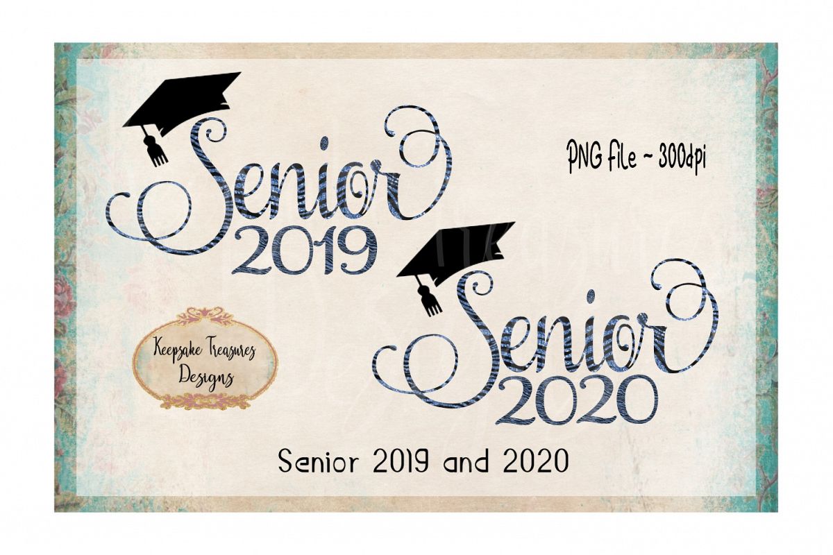 Senior Set 2019 and 2020 | Blue Glitter Zebra Print example image 1