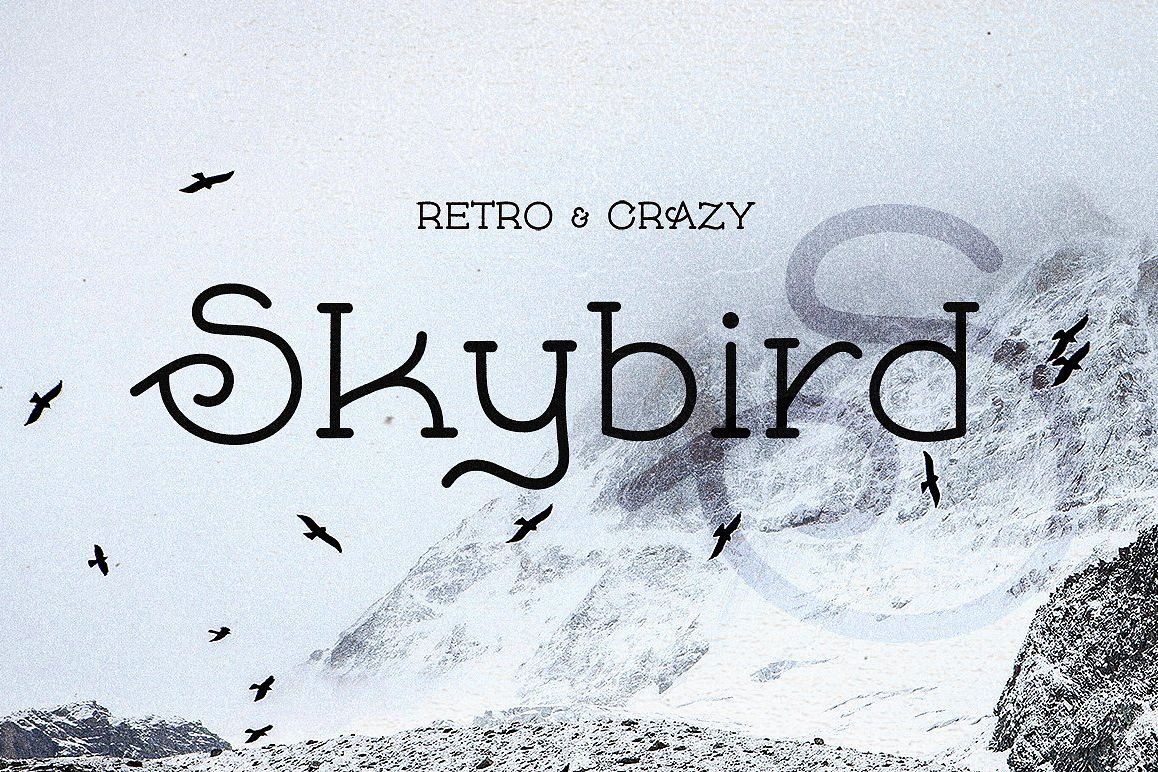 Skybird - Crazy, unique & retro example image 1