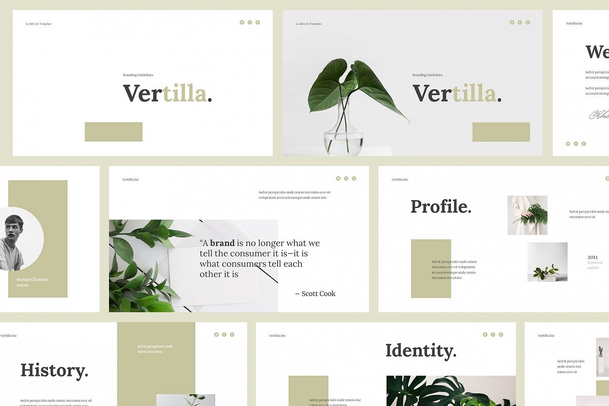 Vertilla-Brand Guideline Powerpoint example image 1