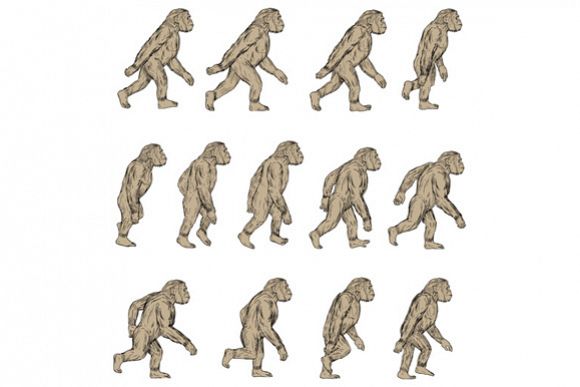 Homo Habilis Walking Cycle Collection Set example image 1