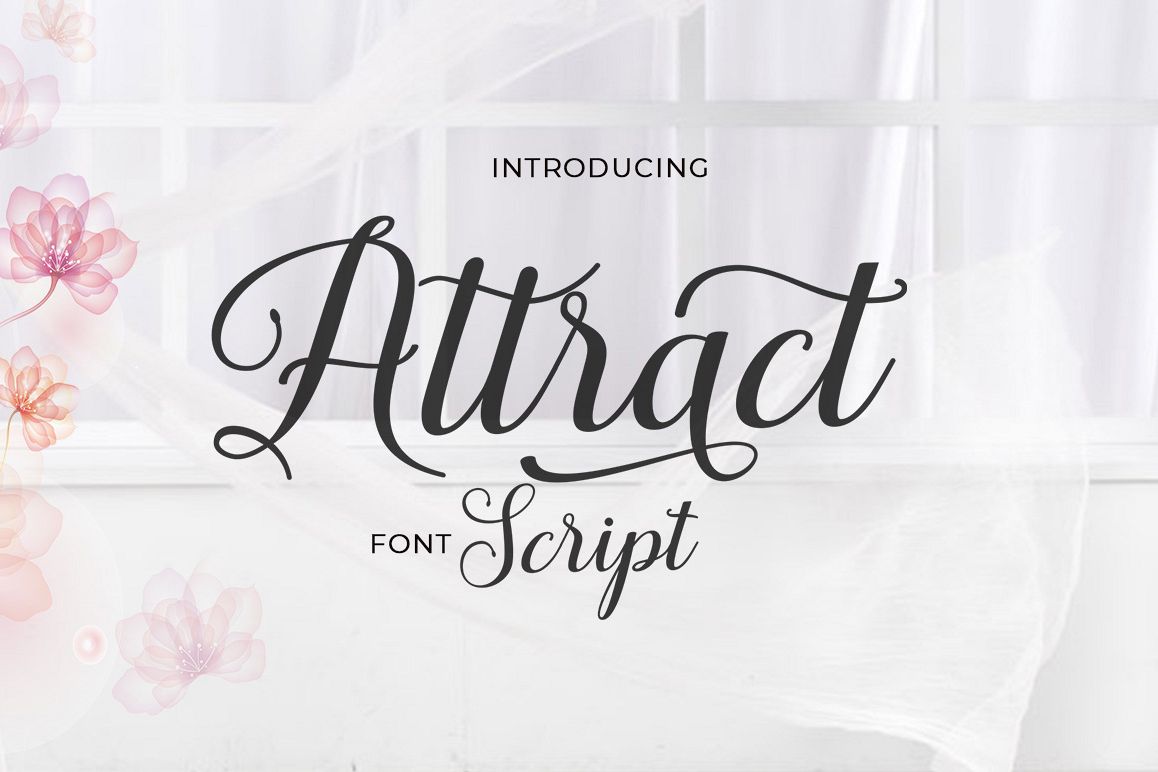 Attract Script example image 1