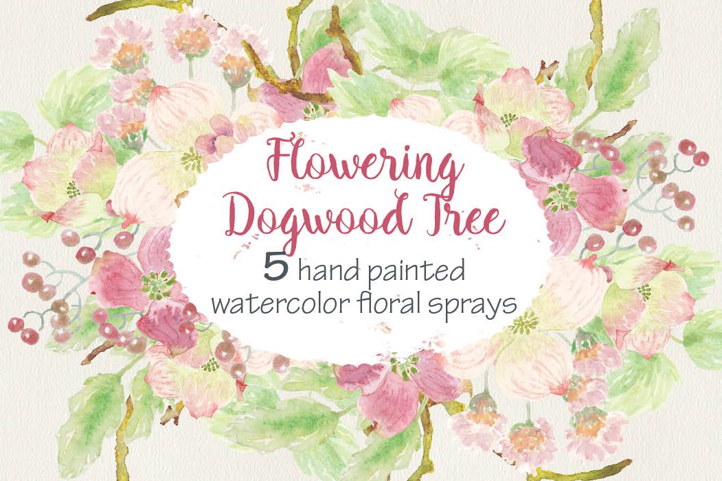 Watercolor sprays of flowering Dogwoods example image 1