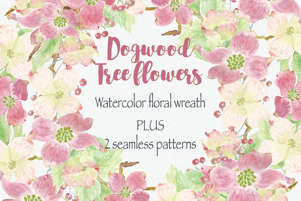 Watercolor wreath of Dogwood tree flowers example image 1