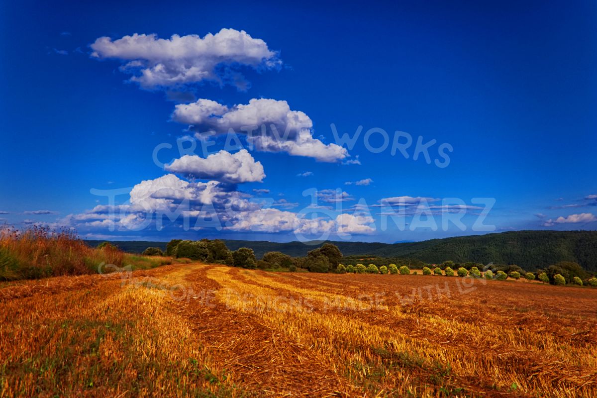 Harvest Field With Cloudy Sky example image 1