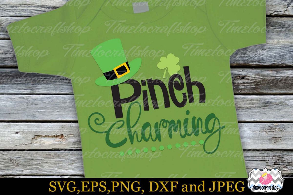 SVG, Dxf, Eps & Png St Patrick's Day Pinch Charming example image 1