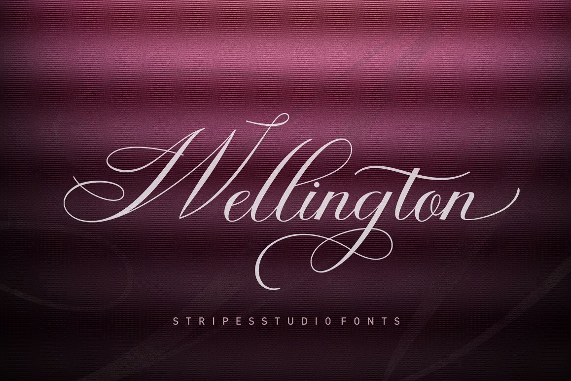 Wellington Script example image 1