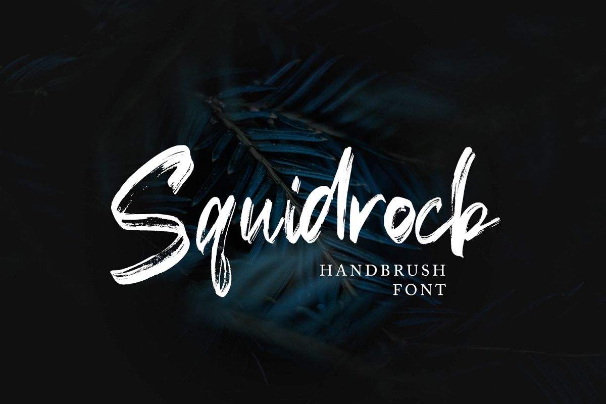 Squidrock - Handbrush Typeface example image 1