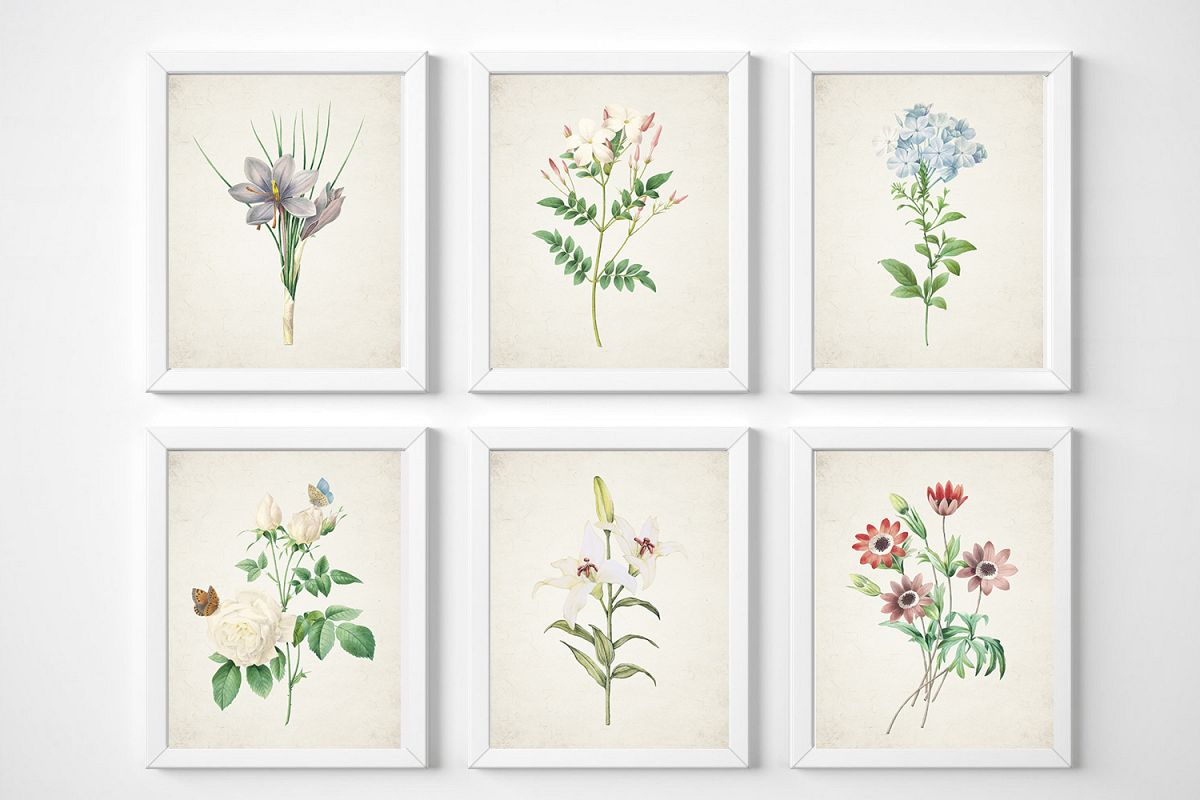 Vintage Flower Print, Wildflower Print Set, Plant Print Set example image 1