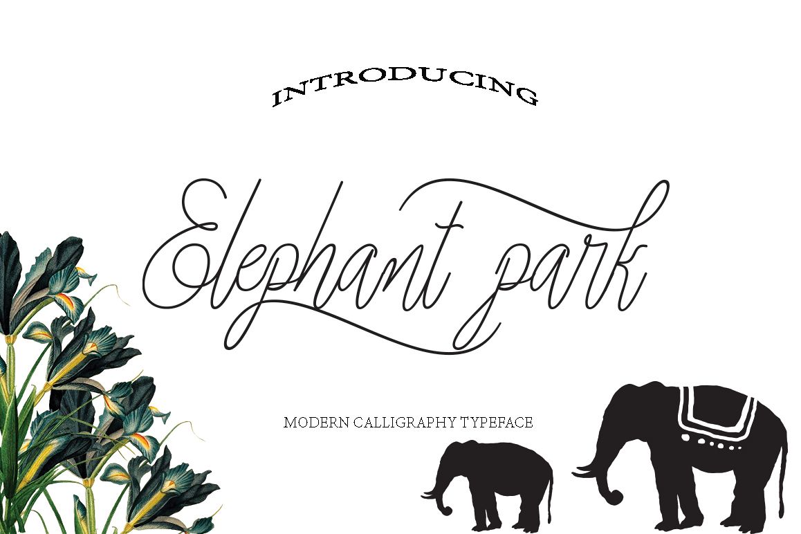 Elephant Park Font Duo example image 1