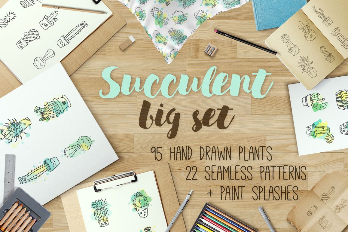 Succulent - Big hand drawn set with paint splashes example image 1