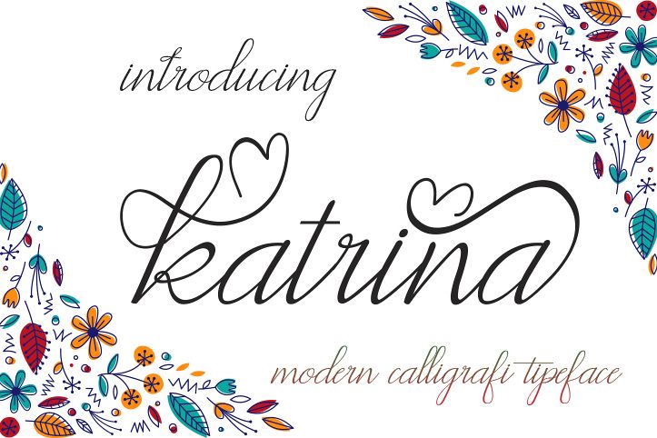 katrina example image 1