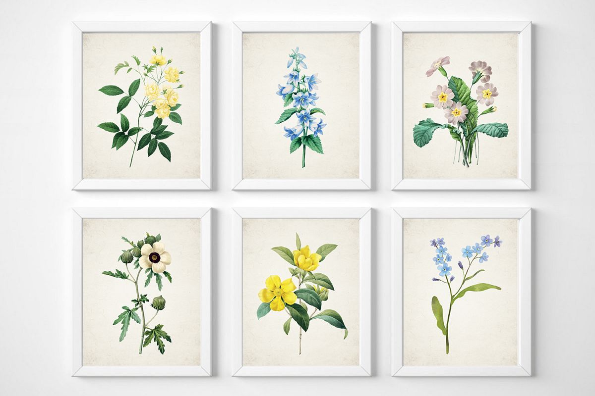 Botanical Print Set, Wildflower Wall Art, Set of 6 Prints example image 1